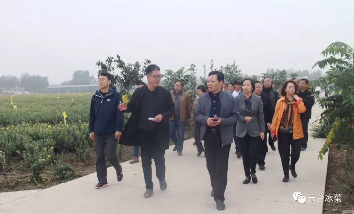 云臺冰菊基地發(fā)生了什么？一批批領(lǐng)導專家團隊前來！